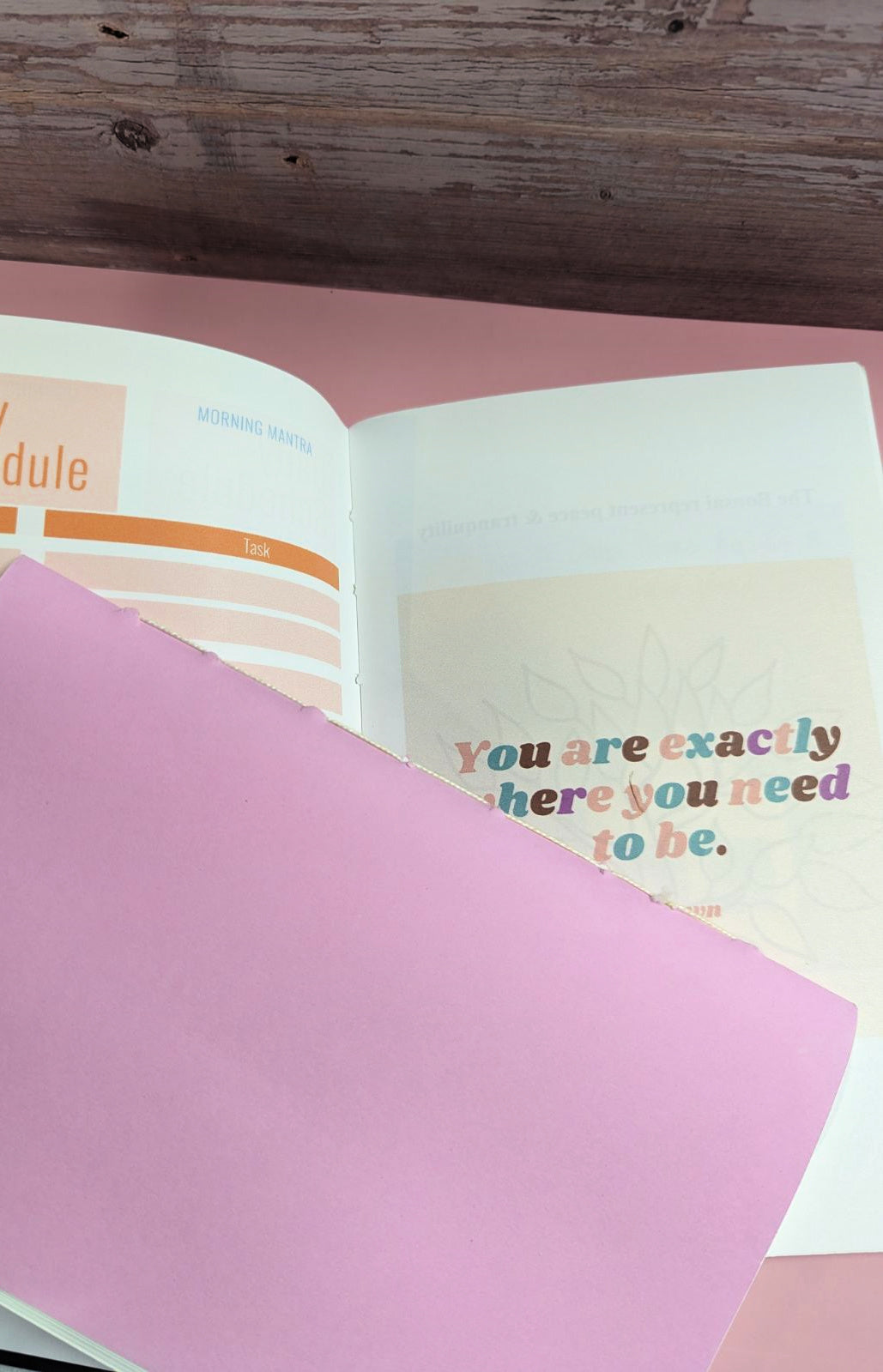 Zen Your...Inner and Outer Peace Zine