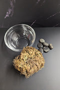 Rose of Jericho Kit